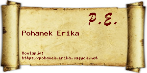 Pohanek Erika névjegykártya
